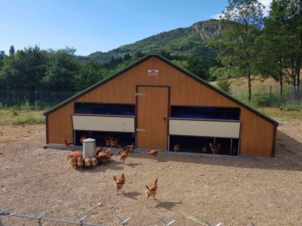 Camping La Ferme De Castellane Bagian luar foto