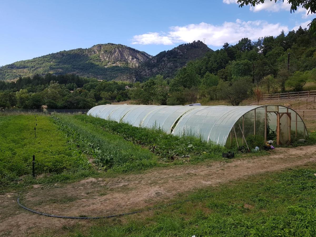 Camping La Ferme De Castellane Bagian luar foto