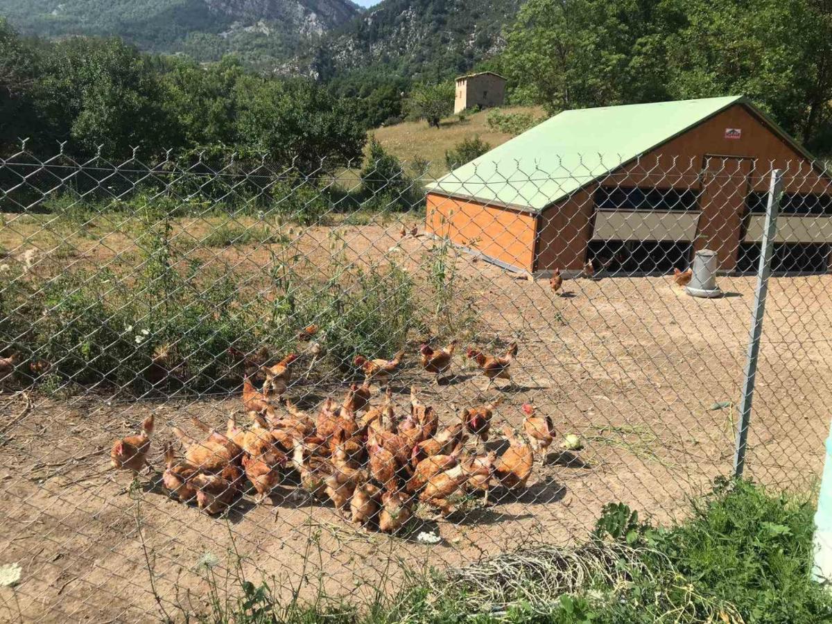 Camping La Ferme De Castellane Bagian luar foto