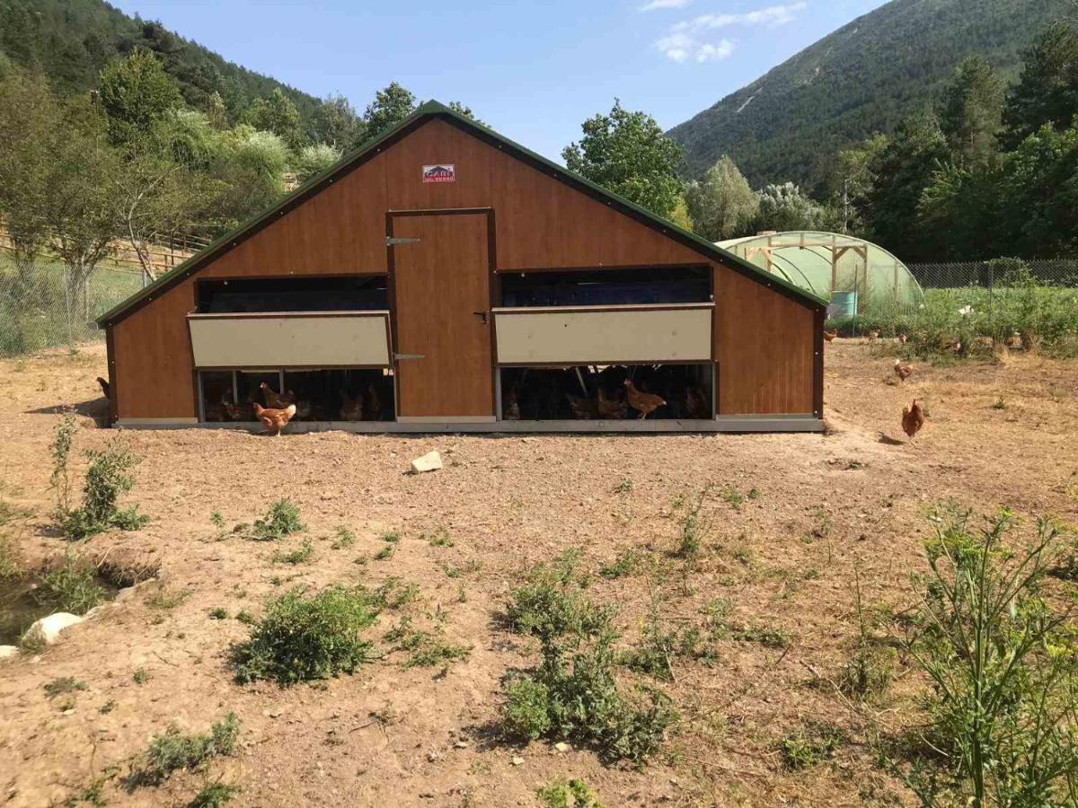 Camping La Ferme De Castellane Bagian luar foto