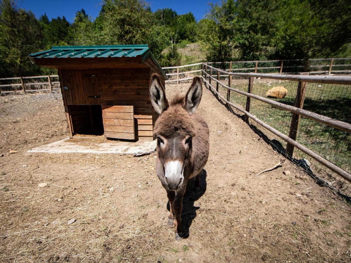 Camping La Ferme De Castellane Bagian luar foto