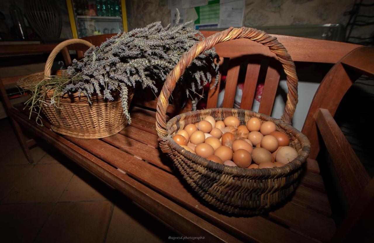 Camping La Ferme De Castellane Bagian luar foto